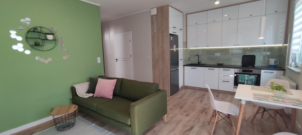 Zielone Apartment *